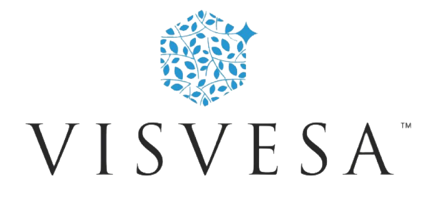 visvesa Logo